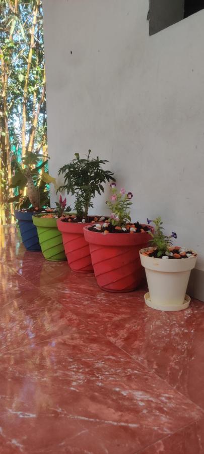 Mahabs Homestay Villa Mahabalipuram Ngoại thất bức ảnh